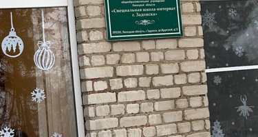 «ГБОУ Липецкой области Специальная школа-интернат г. Задонска»