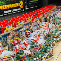 Центр помощи семье и детям «Большая Медведица» (г. Задонск) дети с инвалидностью (г. Липецк)