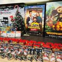 Центр помощи семье и детям «Большая Медведица» (г. Задонск) дети с инвалидностью (г. Липецк)