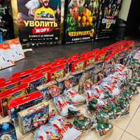 Центр помощи семье и детям «Большая Медведица» (г. Задонск) дети с инвалидностью (г. Липецк)